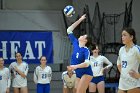 VB vs Salve  Wheaton Women’s Volleyball vs Salve Regina University. : volleyball